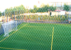 tribuna
