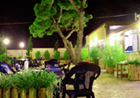 vista frontale